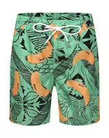 ea7 summer beach pants cotton hommes palm